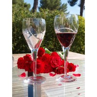 Box of 6 red wine glasses. Spiral Collection.